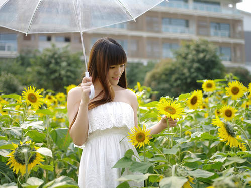 丁丽梅：奶奶的向日葵