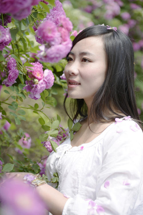 丁丽梅:玫瑰开多久了?