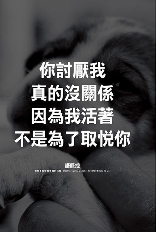 机遇在前方，不是完美，而是在路上