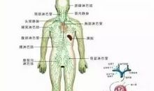 王微：细微差别决定生死去留