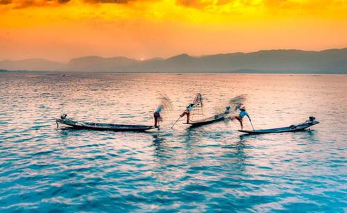 生命无处不在，蕴含着生命的真相