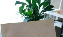 傅雷家书读书笔记