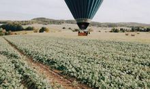 别再因为他人的光芒，看不清自己的前方