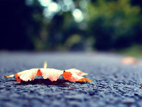 一句话就知道秋天