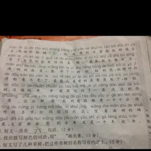 描述大山的句子