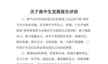 高中生发展报告评语