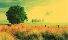 牛根生励志语录100句