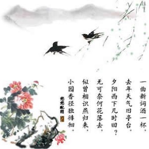 晏殊的诗是什么