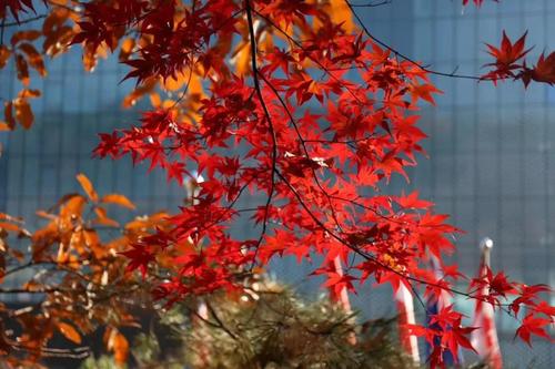 生活是无法重复的选择