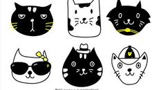 小动物作文：可爱的小花猫