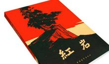红岩的主要内容
