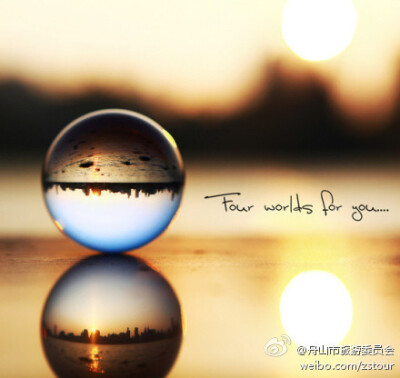 经典语录:有时候,扎根少比集中精力更好