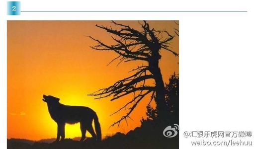 九个段落比您今年阅读的所有文章都好