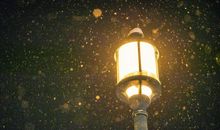 捡回丢失在雪夜里的良心