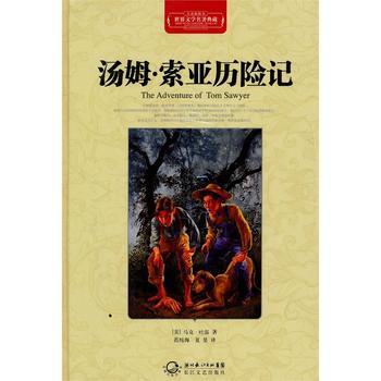 《汤姆·索亚历险记》的主要内容200字
