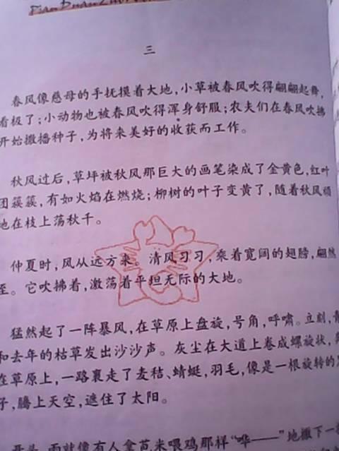 美丽的摘录摘录了100个字