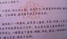 优美片段摘抄100字
