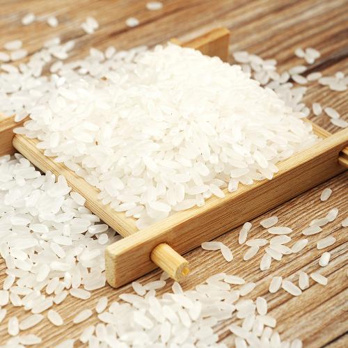 龙凤山旅游笔记组成