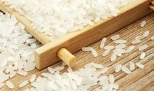 龙凤山游记作文