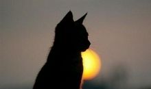 晒一句你绝望时，拍醒你的狠话