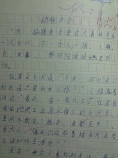 写一个动物作品：关于我的灰猫的两三件事