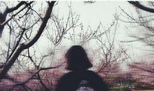 心乱如麻的句子