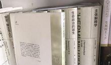 迟子建：白雪的墓园