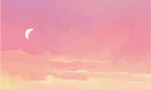 为了你我愿意热爱整个世界读后感