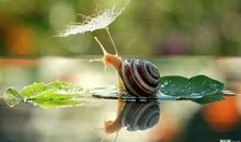 最重要的是要学会尊重每一个人