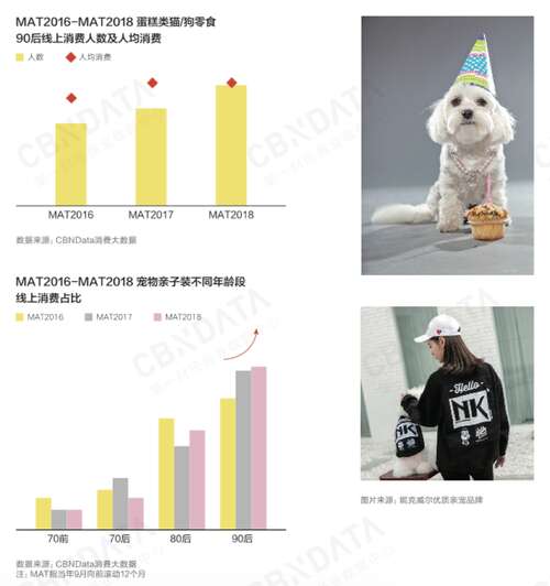 张培玉，1990年代出生，旨在创建互联网小吃王国