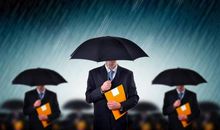 这种员工，将来都是高管