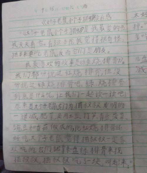 关于阅读《万绿瓦》的思考