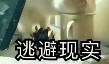 逃避现实的句子