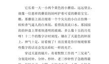 写物作文：我是一只小闹钟