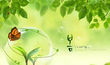 表示绿色的词语