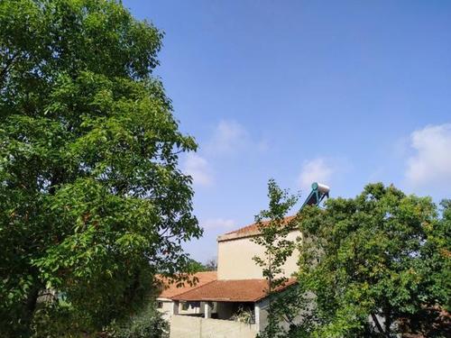 李光天：向往的心