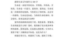 感悟生命的作文