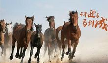 形容马的成语