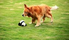 生命中最重要的