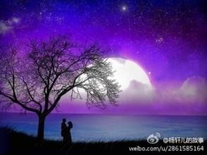 经典语录:岁月如水,让我无休止地想念你;蝴蝶与花朵的秋天,让你永远温柔