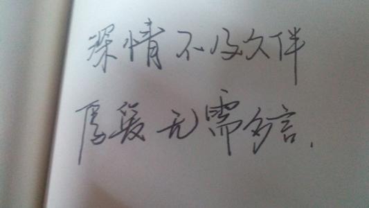 经典语录:无用是深情的,对最爱的人不屑一顾