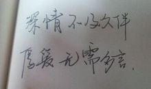 经典语录：百无一用是深情，不屑一顾最相思