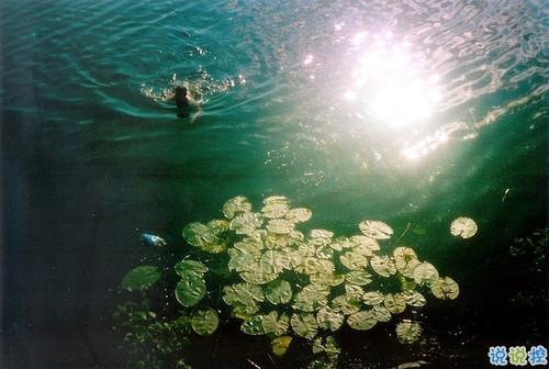 最有意义的句子