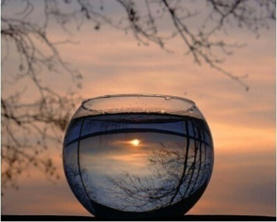 生活总是在选择