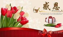 哈吉·阿布巴尔·伊芒名言