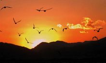 最有诗意的一句话