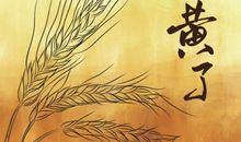 励志故事：人生中的麦穗