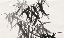 竹石的诗意_竹石的意思