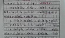 描写贝壳的好词好句摘抄