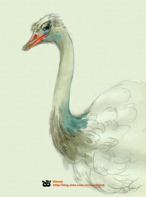 林庆轩：鸵鸟的智慧